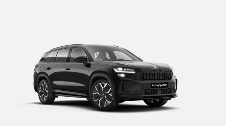Mobire pilna servisa noma - Skoda Kodiaq