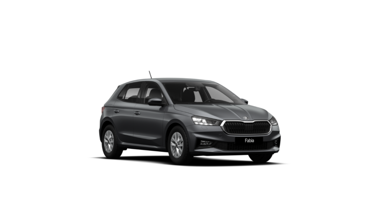 Mobire pilna servisa noma - Skoda Fabia